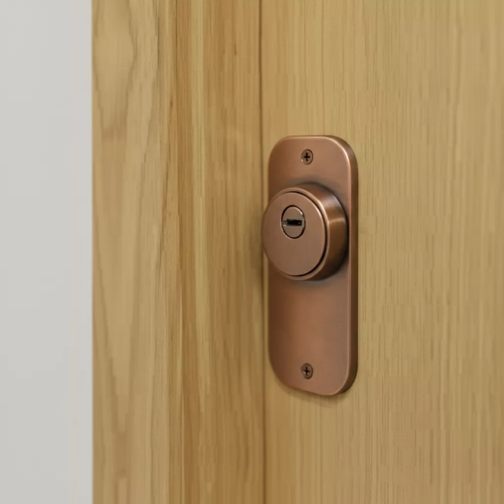 Escudo protector acorazado instalado en cerradura de puerta